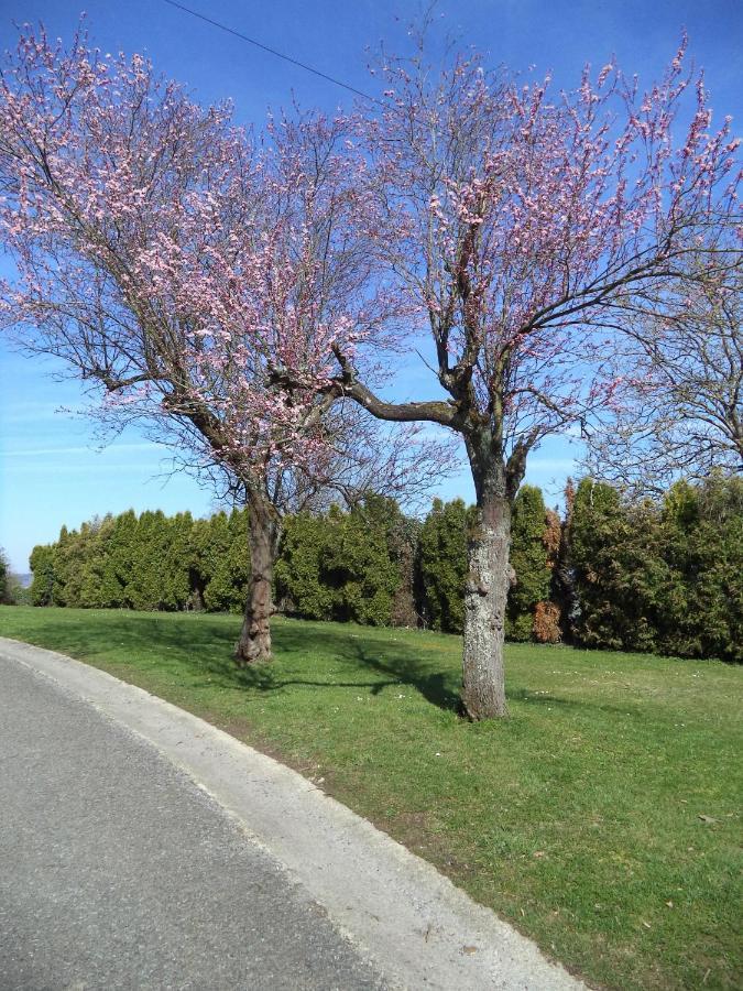 Castel Sainte Marie - Hebergement Beauraing Luaran gambar